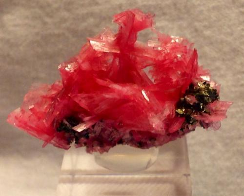 Rhodonite, Pyrite<br />San Martín Mine, Chiurucu (Chiuruco), Huallanca District, Bolognesi Province, Ancash Department, Peru<br />3.3 x 2.5 cm<br /> (Author: JC)
