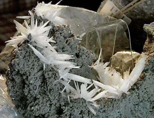 Celestine<br />Clay Center, Condado Ottawa, Ohio, USA<br />blades up to 4 cm in length, groupings up to 7 cm and the whole example about 18 cm across<br /> (Author: Bob Harman)