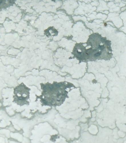 Beryl<br />Nagar, Hunza Valley, Nagar District, Gilgit-Baltistan (Northern Areas), Pakistan<br />50mm x 30mm x 30mm<br /> (Author: Philippe Durand)
