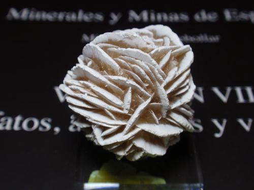 Yeso<br />Desierto Samalayuca, Municipio Ahumada, Chihuahua, México<br />30x30 mm<br /> (Autor: Ignacio)