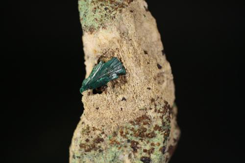 Malaquita<br />Sena de Luna, Comarca Luna, León, Castilla y León, España<br />grupo de cristales 12mm<br /> (Autor: minero1968)