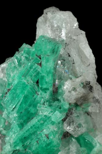 Beryl (variety emerald), Calcite, Pyrite, Quartz<br />Coscuez mining district, Jerusalem Mine, Municipio San Pablo de Borbur, Western Emerald Belt, Boyacá Department, Colombia<br />H:44mm x W:25mm<br /> (Author: Fiebre Verde)