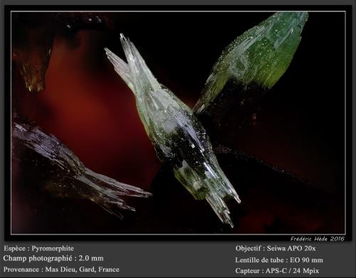 Pyromorphite<br />Mas Dieu, Mercoirol, Alès, Gard, Occitanie, France<br />fov 2.0 mm<br /> (Author: ploum)