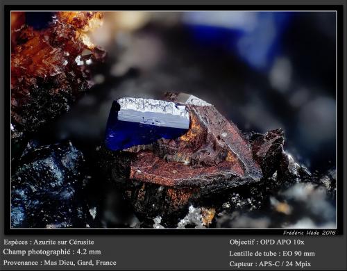 Azurite on Cerussite<br />Mas Dieu, Mercoirol, Alès, Gard, Occitanie, France<br />fov 4.2 mm<br /> (Author: ploum)