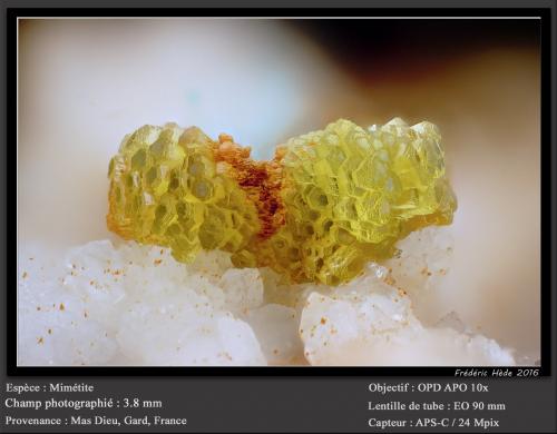 Mimetite<br />Mas Dieu, Mercoirol, Alès, Gard, Occitanie, France<br />fov 3.8 mm<br /> (Author: ploum)