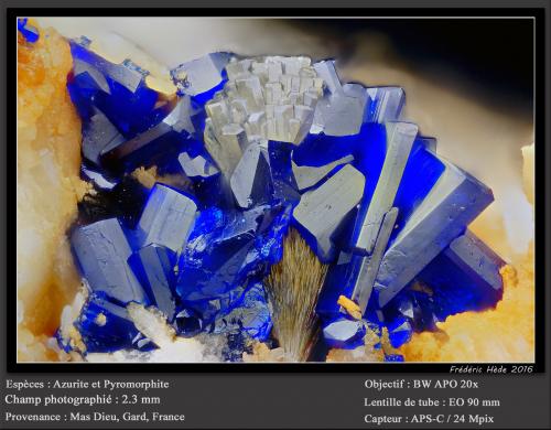 Azurite<br />Mas Dieu, Mercoirol, Alès, Gard, Occitanie, France<br />fov 2.3 mm<br /> (Author: ploum)