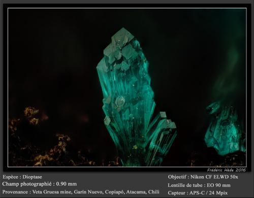 Dioptase<br />Veta Gruesa Mine, Garín Nuevo District, Copiapó Province, Atacama Region, Chile<br />fov 0.90 mm<br /> (Author: ploum)