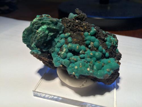 Malachite, Chrysocolla, Wulfenite<br />Brown's open pit, Rum Jungle, Batchelor, Coomalie Shire, Northern Territory, Australia<br />65 X 40 X 30 mm<br /> (Author: Robert Seitz)