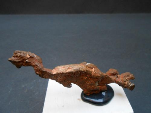 Cobre<br />Península Keweenaw, Michigan, USA<br />8 x 3 x 1 cm<br /> (Autor: Antonio Alcaide)