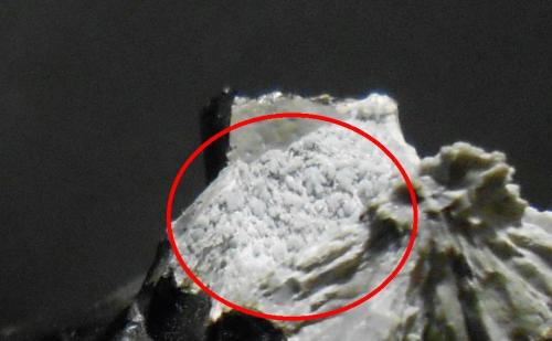 Cristobalita<br />Cougar Butte occurrence, Cascade Range, Cougar Butte, Siskiyou County, California, USA<br />7,5 x 7 x 3,5 cm<br /> (Autor: Antonio Alcaide)