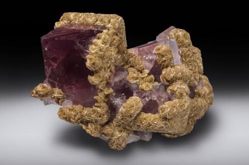 Fluorite with siderite<br />Boltsburn Mine, Rookhope District, Weardale, North Pennines Orefield, County Durham, England / United Kingdom<br />113 mm<br /> (Author: Gail)