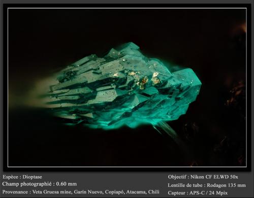 Dioptase<br />Veta Gruesa Mine, Garín Nuevo District, Copiapó Province, Atacama Region, Chile<br />fov 0.60 mm<br /> (Author: ploum)