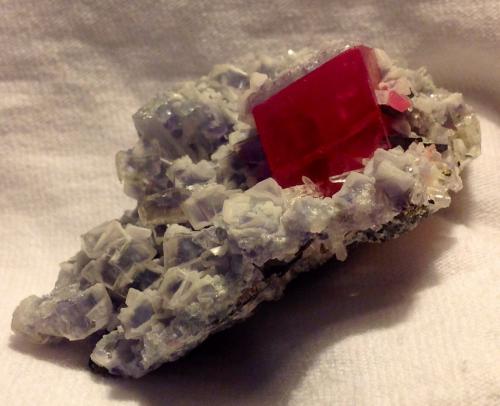 Rhodochrosite, Pyrite, Quartz, Fluorite, Huebnerite<br />Mina Sweet Home, Monte Bross, Distrito Alma, Condado Park, Colorado, USA<br />7 x 4.4 cm<br /> (Author: JC)