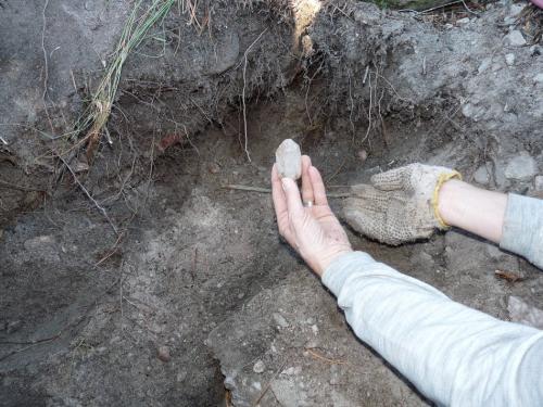 A Quartz crystal fresh from the ground. (Author: Pierre Joubert)