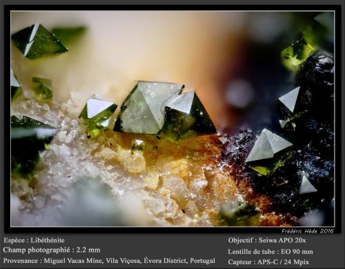 Libethenite<br />Miguel Vacas Mine, Pardais and Conceição Parish, Vila Viçosa, Évora District, Alentejo Central Province, Alentejo Region, Portugal<br />fov 2.2 mm<br /> (Author: ploum)