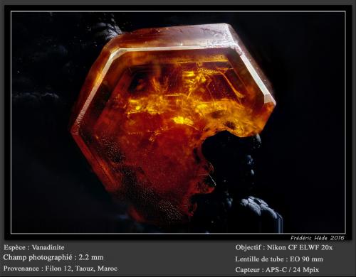 Vanadinite<br />Taouz, Provincia Er Rachidia, Región Drâa-Tafilalet, Marruecos<br />fov 2.2 mm<br /> (Author: ploum)