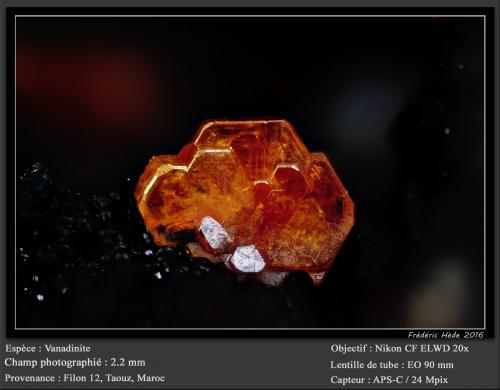 Vanadinite<br />Taouz, Provincia Er Rachidia, Región Drâa-Tafilalet, Marruecos<br />fov 2.2 mm<br /> (Author: ploum)