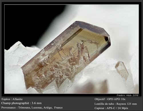 Allanite<br />Trimouns Mine, Luzenac, Haute-Ariège, Foix, Ariège Department, Occitanie, France<br />fov 3.6 mm<br /> (Author: ploum)