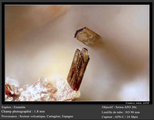 Enstatite<br />De la Aljorra Quarries, Cerro de la Cabezuela (de la Aljorra Volcano), La Aljorra, Cartagena, Comarca Campo de Cartagena, Region of Murcia (Murcia), Spain<br />fov 1.8 mm<br /> (Author: ploum)