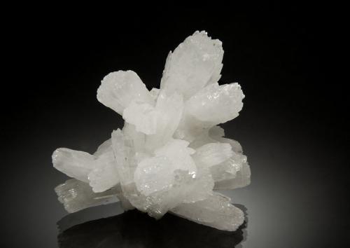 Celestine<br />La Grasta Mine, Delia, Caltanissetta Province, Sicily, Italy<br />6.0 x 6.0 cm<br /> (Author: crosstimber)