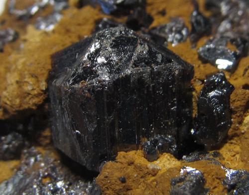 Rutilo<br />Distrito Mwinilunga, Provincia Noroeste, Zambia<br />7 x 8 mm. el cristal<br /> (Autor: prcantos)