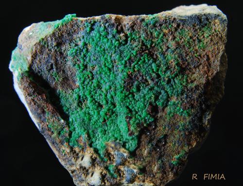 Conicalcita<br />Calicata Dolores, Pastrana, Mazarrón / Águilas, Comarca Alto Guadalentín, Región de Murcia (Murcia), España<br />6x5 cm<br /> (Autor: Ricardo Fimia)