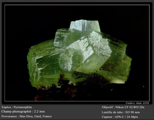 Pyromorphite<br />Mas Dieu, Mercoirol, Alès, Gard, Occitanie, Francia<br />fov 2.2 mm<br /> (Author: ploum)