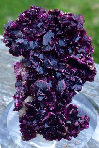 Erythrite<br />Agoudal Mines, Tansifite, Agdz, Bou Azzer mining district, Zagora Province, Drâa-Tafilalet Region, Morocco<br />5.7 x 3.8 cm<br /> (Author: JC)