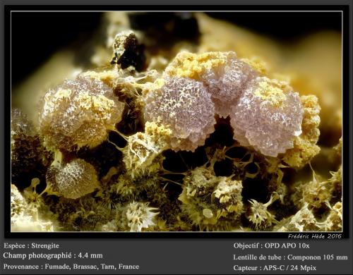 Strengite<br />Fumade, Castelnau-de-Brassac, Tarn, Occitanie, France<br />fov 4.4 mm<br /> (Author: ploum)