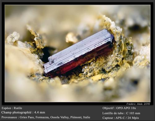 Rutile<br />Gries Pass, Formazza, Formazza Valley, Ossola Valley, Verbano-Cusio-Ossola Province, Piedmont (Piemonte), Italy<br />fov 4.4 mm<br /> (Author: ploum)