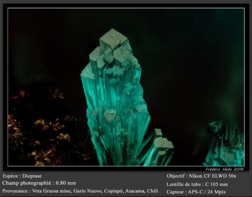 Dioptase<br />Veta Gruesa Mine, Garín Nuevo District, Copiapó Province, Atacama Region, Chile<br />fov 0.80 mm<br /> (Author: ploum)
