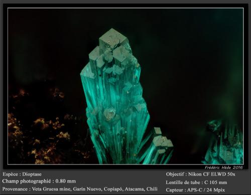 Dioptase<br />Mina Veta Gruesa, Distrito Garín Nuevo, Provincia Copiapó, Región Atacama, Chile<br />fov 0.80 mm<br /> (Author: ploum)