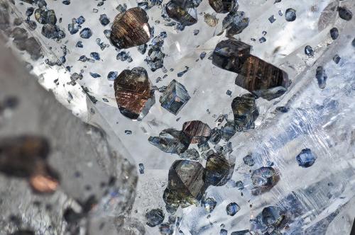 Quartz, Anatase<br />Polar Urals, Western-Siberian Region, Russia<br /><br /> (Author: am mizunaka)