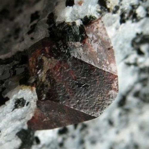 Zircón<br />Valle Astor, Distrito Astor, Gilgit-Baltistan (Áreas del Norte), Paquistán<br />7 x 3,5 x 2,5 cm<br /> (Autor: Antonio Alcaide)