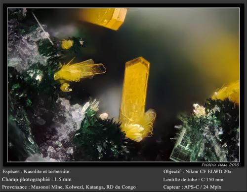 Kasolite<br />Musonoi Mine, Kolwezi, Kolwezi District, Lualaba, Katanga Copper Crescent, Katanga (Shaba), Democratic Republic of the Congo (Zaire)<br />fov 1.5 mm<br /> (Author: ploum)