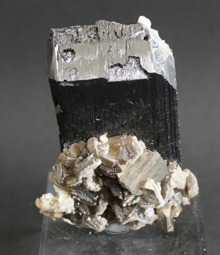 Ferberite (Wolframite Group)<br />Yaogangxian Mine, Yizhang, Chenzhou Prefecture, Hunan Province, China<br />40mm x 30mm x 10mm<br /> (Author: Philippe Durand)