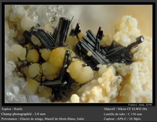 Rutile and Stilbite<br />Miage Glacier, Veny Valley, Monte Bianco Massif (Mont Blanc Massif), Courmayeur, Aosta Valley (Val d'Aosta), Italy<br />fov 2.0 mm<br /> (Author: ploum)