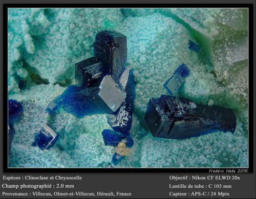 Clinoclase on Chrysocolla<br />Villecun, Olmet-et-Villecun, Lodève Canton, Lodève District, Hérault, Occitanie, France<br />fov 2.0 mm<br /> (Author: ploum)