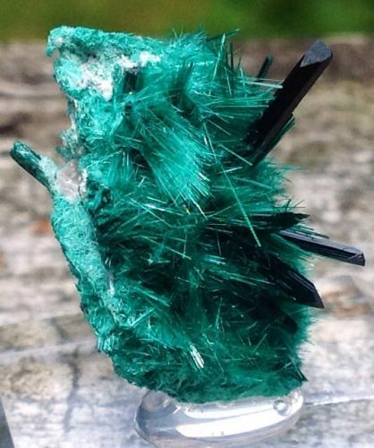 Brochantite<br />Milpillas Mine, Cuitaca, Municipio Santa Cruz, Sonora, Mexico<br />5.5 cm<br /> (Author: JC)