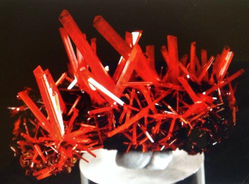 Crocoite<br />Mina Adelaide, Campo minero Dundas, Distrito Zeehan, Consejo Costa Oeste, Tasmania, Australia<br />3.5 cm<br /> (Author: JC)