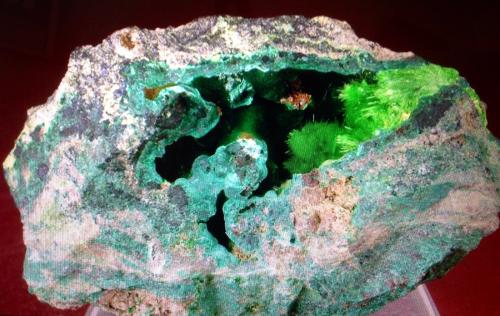 Cuprosklodowskite<br />Musonoi Mine, Kolwezi, Kolwezi District, Lualaba, Katanga Copper Crescent, Katanga (Shaba), Democratic Republic of the Congo (Zaire)<br />6.6 cm<br /> (Author: JC)