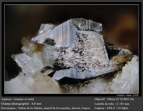 Anatase and Rutile<br />Vallon de la Valette, Macizo La Lauzière, Saint-Jean-de-Maurienne, Saboya, Auvergne-Rhône-Alpes, Francia<br />fov 4 mm<br /> (Author: ploum)