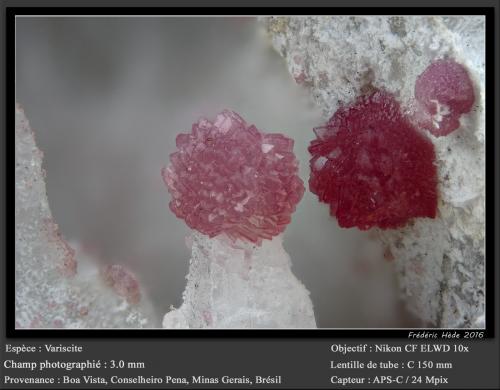 Variscite<br />Boa Vista (Eduardo) Mine, Conselheiro Pena, Vale do Rio Doce, Minas Gerais, Brazil<br />fov 3.0 mm<br /> (Author: ploum)