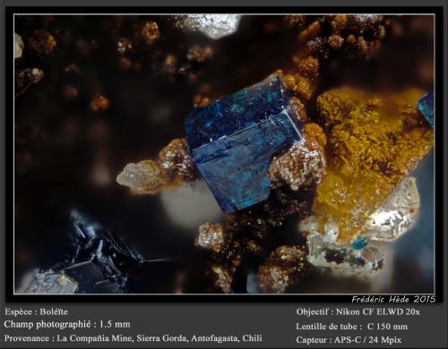 Boleite<br />La Compañía Mine, Caracoles, Sierra Gorda District, Tocopilla Province, Antofagasta Region, Chile<br />fov 1.5 mm<br /> (Author: ploum)