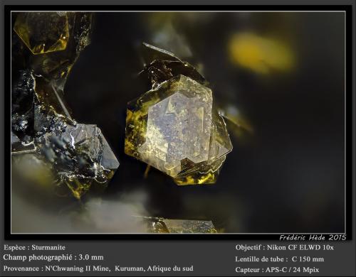 Sturmanite<br />N'Chwaning II Mine, N'Chwaning mining area, Kuruman, Kalahari manganese field (KMF), Northern Cape Province, South Africa<br />fov 3 mm<br /> (Author: ploum)