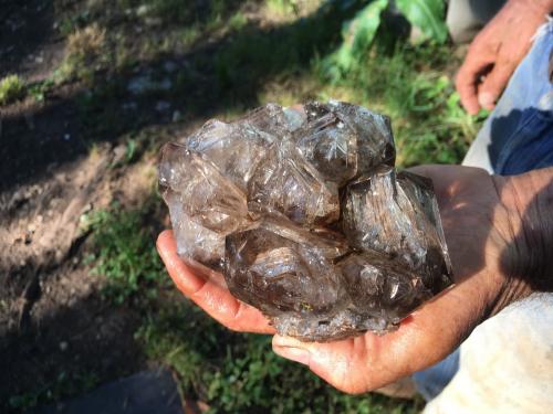 Quartz<br />Turtle Clan Ridge, Fonda, Mohawk, Montgomery County, New York, USA<br />15 cm<br /> (Author: vic rzonca)