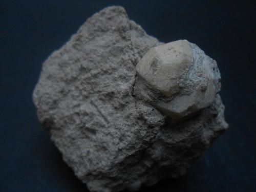 Leucita y augita<br />Orchi, Conca della Campania, Roccamonfina Volcanic Complex, Caserta Province, Campania, Italy<br />7 x 5 x 4 cm<br /> (Autor: Antonio Alcaide)