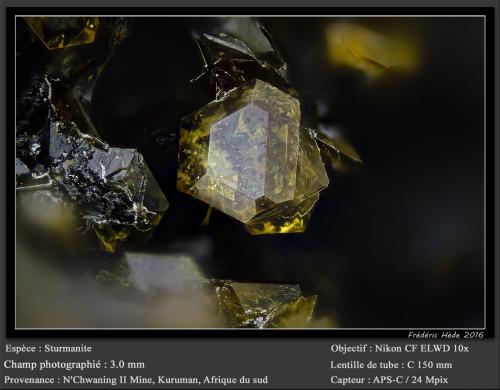 Sturmanite<br />Mina N'Chwaning II, Zona minera N'Chwaning, Kuruman, Kalahari manganese field (KMF), Provincia Septentrional del Cabo, Sudáfrica<br />fov 3.0 mm<br /> (Author: ploum)