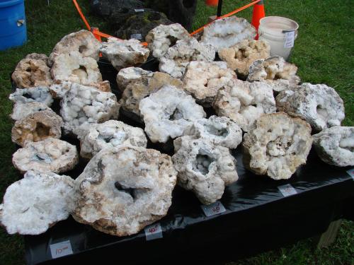 _Field and stream geodes for sale at a recent Bloomington rock show (Author: Bob Harman)