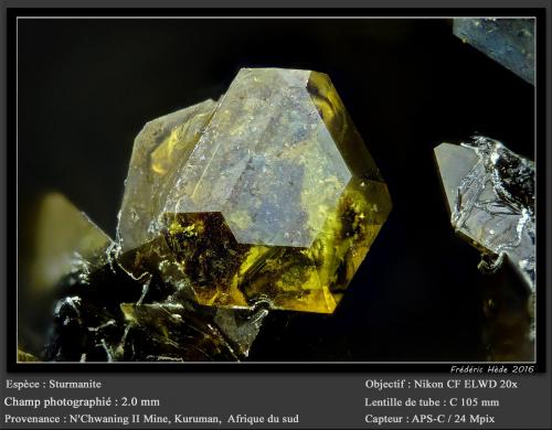 Sturmanite<br />Mina N'Chwaning II, Zona minera N'Chwaning, Kuruman, Kalahari manganese field (KMF), Provincia Septentrional del Cabo, Sudáfrica<br />fov 2.0 mm<br /> (Author: ploum)